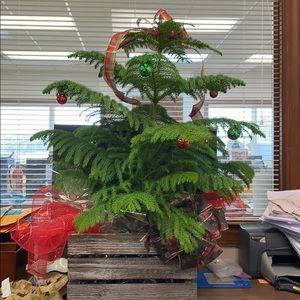 Meet your Posher, Cindy